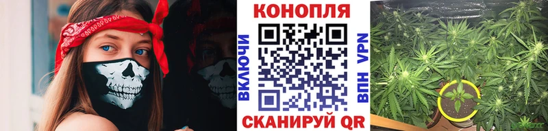 Названия наркотиков Салехард MEGA зеркало  COCAIN  Галлюциногенные грибы  МЕФ  Alpha PVP  АМФЕТАМИН  ГАШ 
