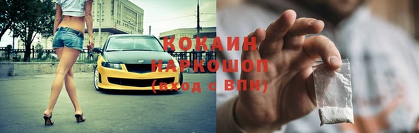 дмт Елизово