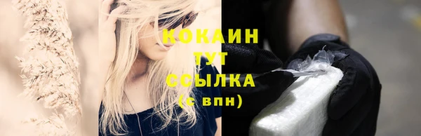 дмт Елизово