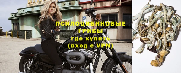 первитин Ельня