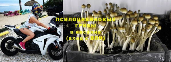дмт Елизово