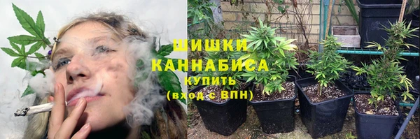 дмт Елизово