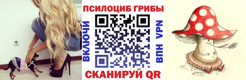 Галлюциногенные грибы Cubensis мориарти телеграм Салехард закладки